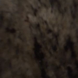 Meet your Posher, Claire